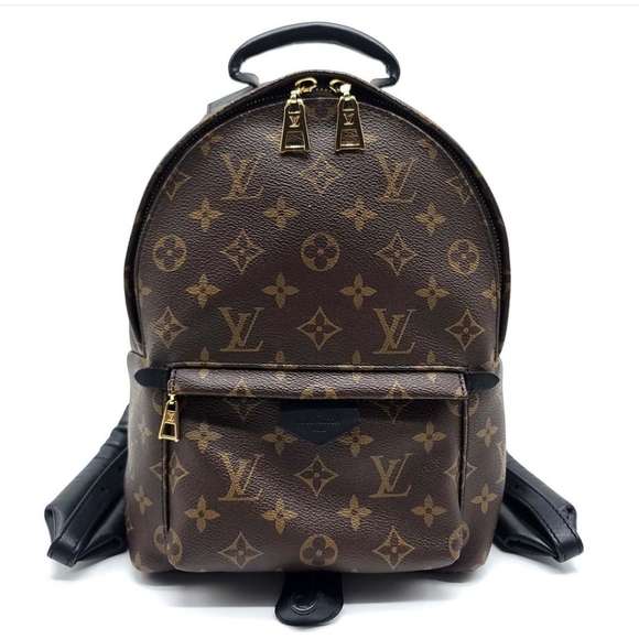 Louis Vuitton Handbags - Louis Vuitton Palm Springs Backpack PM Monogram